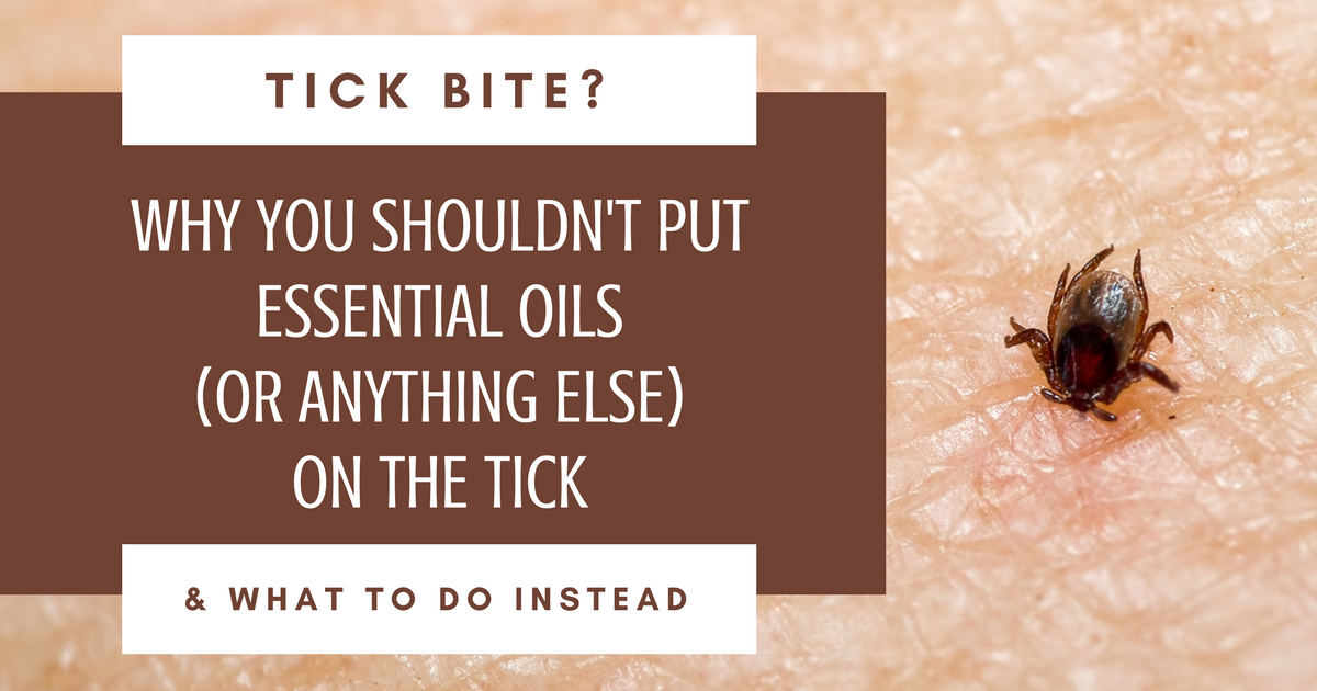 How To Treat A Tick Bite Life In Doses